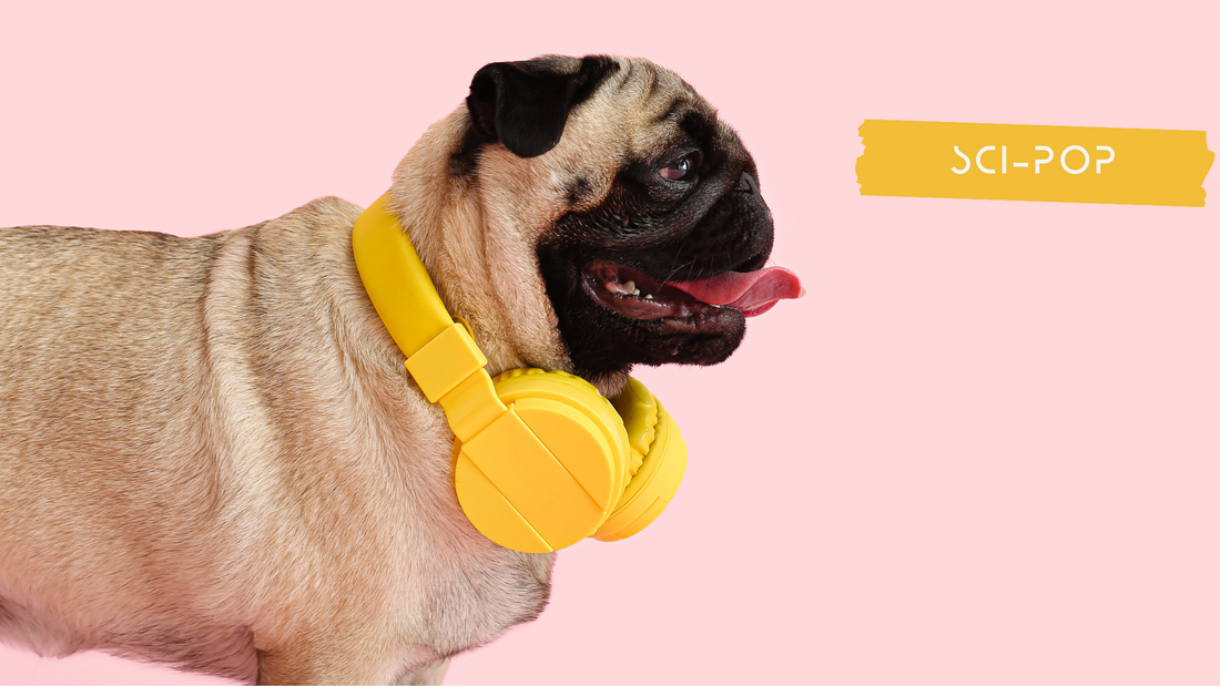 9 Facts About Sound You Probably Didn't Know