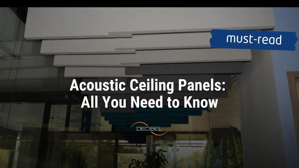 Acoustic Ceiling Panels: All You Need to Know