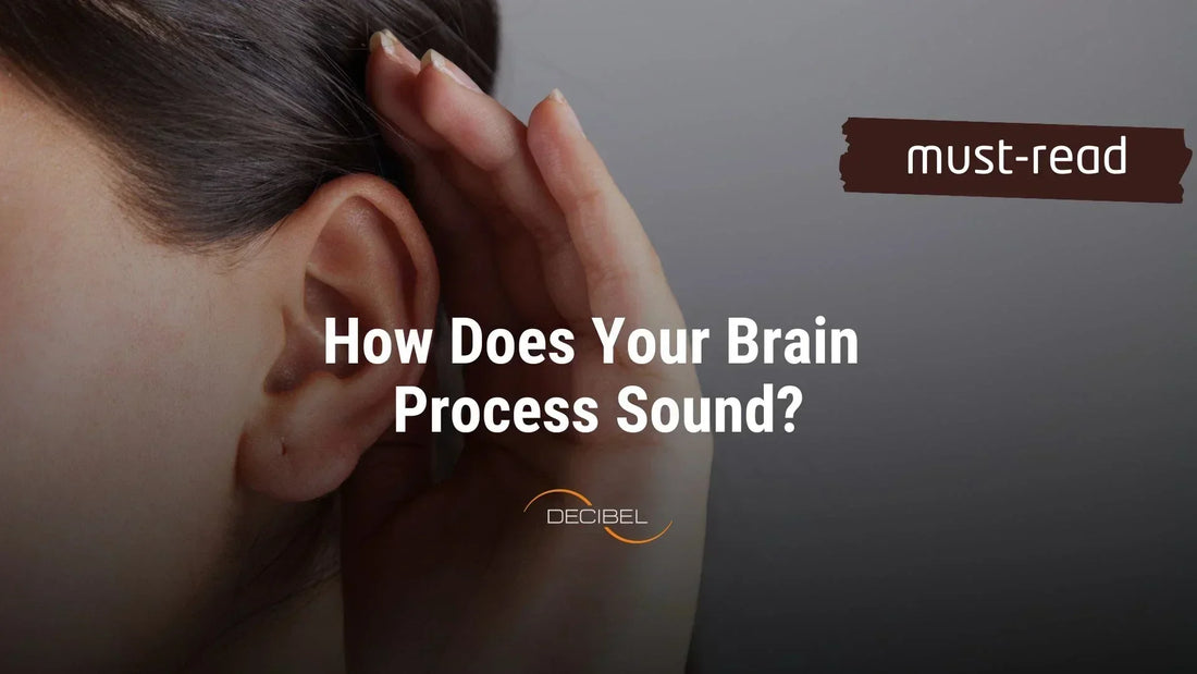 How Does Your Brain Process Sound?