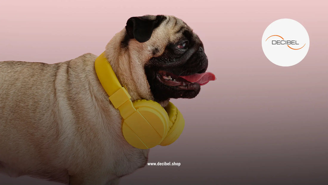 cute dog mops with yellow headphones on a pink background