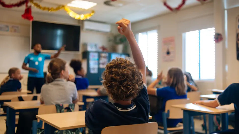 Sound diffuser acoustic panels  for school classrooms
